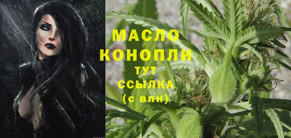 индика Саяногорск