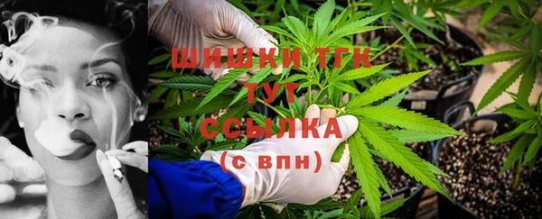 гашик Богданович