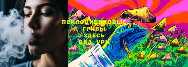 прущие крисы Строитель