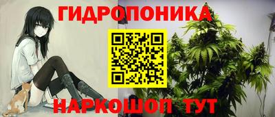 скорость Бийск