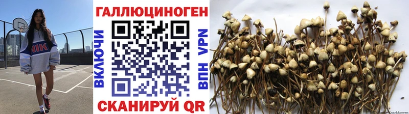 Галлюциногенные грибы MAGIC MUSHROOMS  OMG вход  Дзержинск 