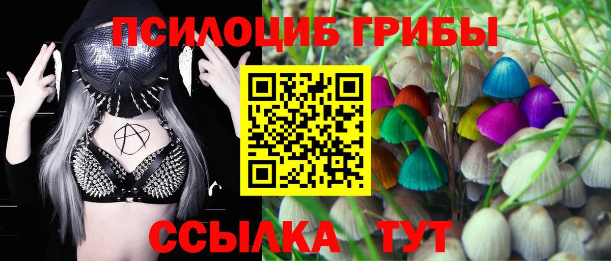Псилоцибиновые грибы Cubensis  Галлюциногенные грибы мухоморы  Вход с VPN  Дзержинск 