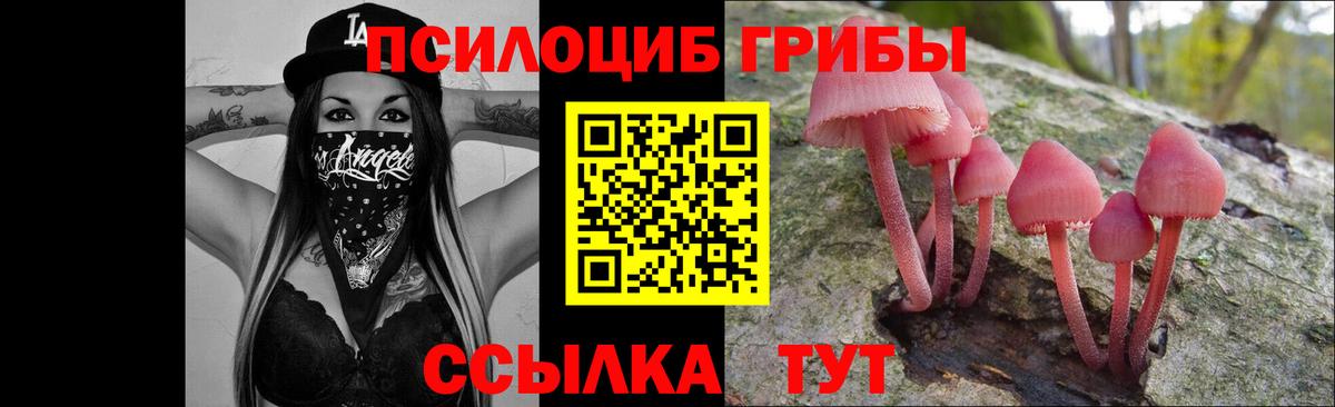 Галлюциногенные грибы GOLDEN TEACHER  купить закладку  Галлюциногенные грибы ЛСД  Дзержинск 